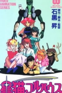 Звёздные коты